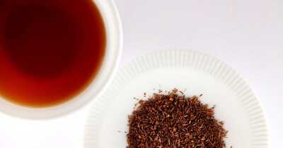 rooibos1